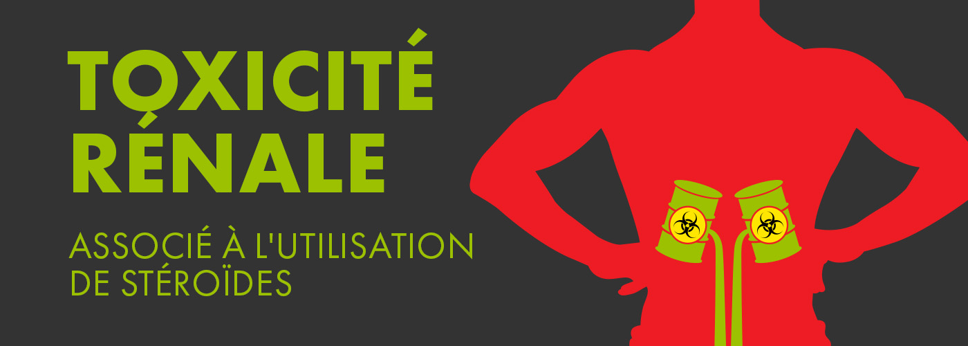Toxicité rénale associée à l'utilisation de stéroïdes
