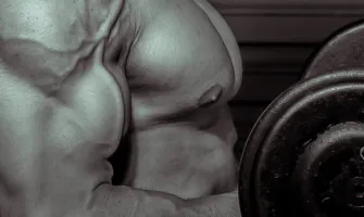 How Fast Can You Build Muscle