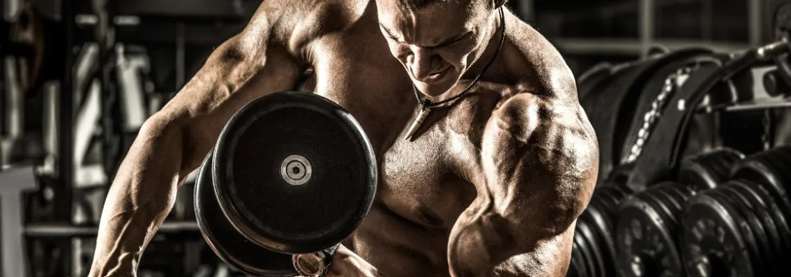 How to Burn Fat Without Losing Muscle Mass(EN)