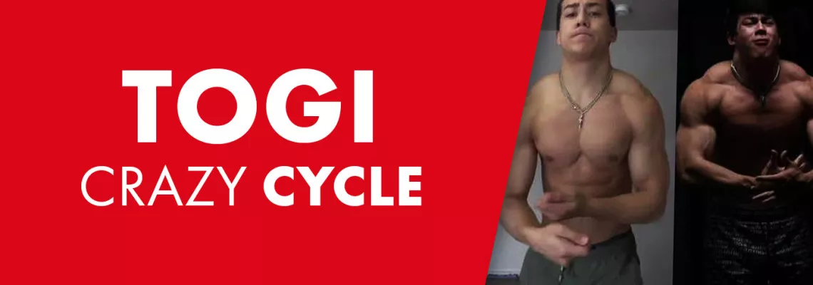 Cycle fou de Togi