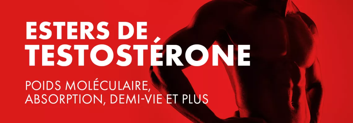 Comprendre les esters de testostérone : poids moléculaire, absorption, demi-vie, etc.