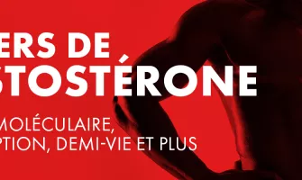 Comprendre les esters de testostérone : poids moléculaire, absorption, demi-vie, etc.