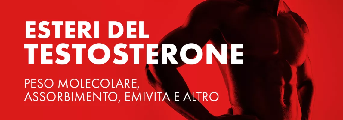Comprensione degli esteri del testosterone: peso molecolare, assorbimento, emivita e altro.
