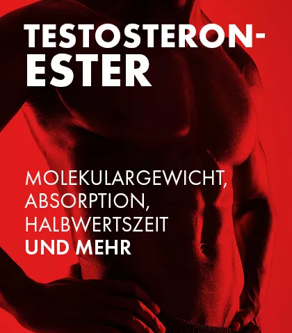 Testosteronester verstehen: Molekulargewicht, Absorption, Halbwertszeit und mehr