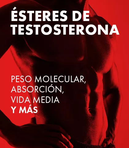 Comprender los ésteres de testosterona: peso molecular, absorción, vida media y más