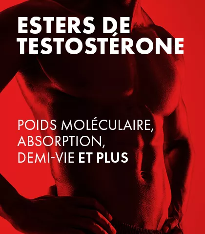 Comprendre les esters de testostérone : poids moléculaire, absorption, demi-vie, etc.