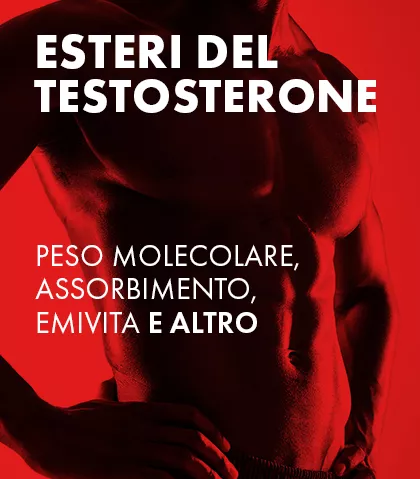 Comprensione degli esteri del testosterone: peso molecolare, assorbimento, emivita e altro